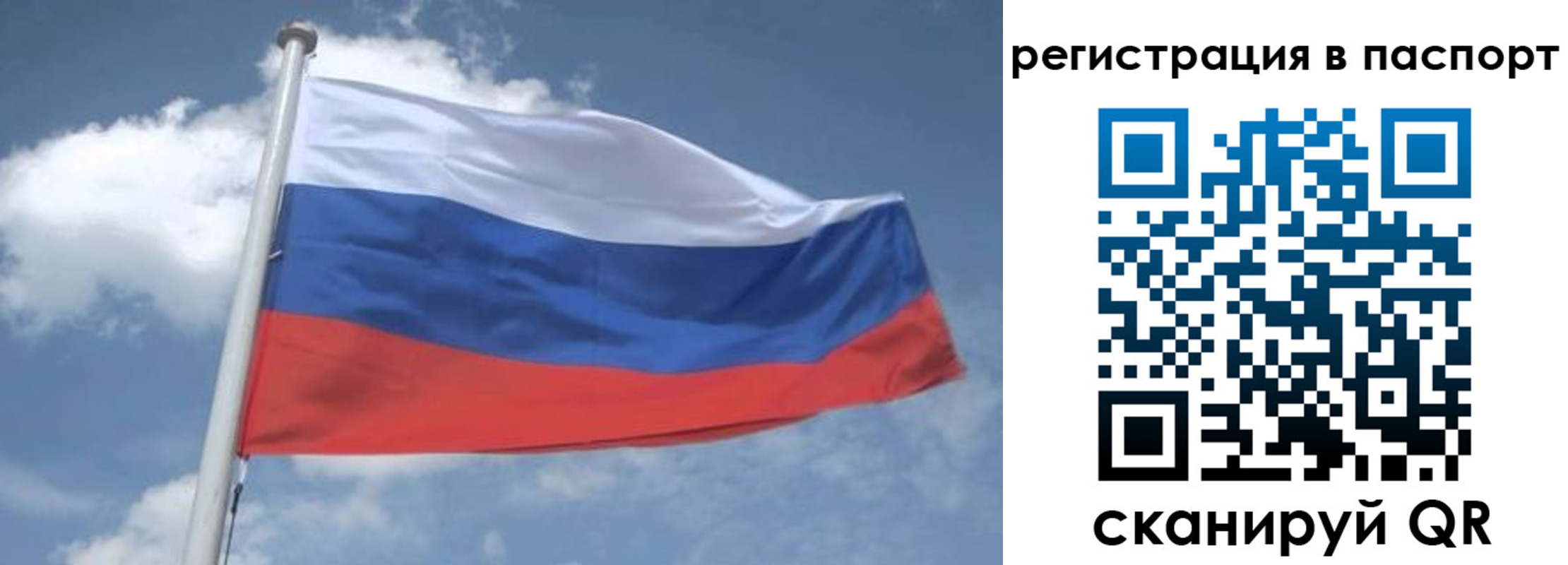 временная регистрация надежно в Дмитрове